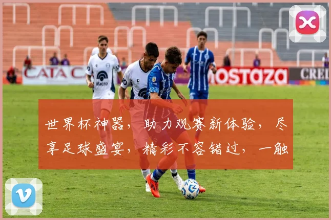 世界杯神器，助力观赛新体验，尽享足球盛宴，精彩不容错过，一触即达