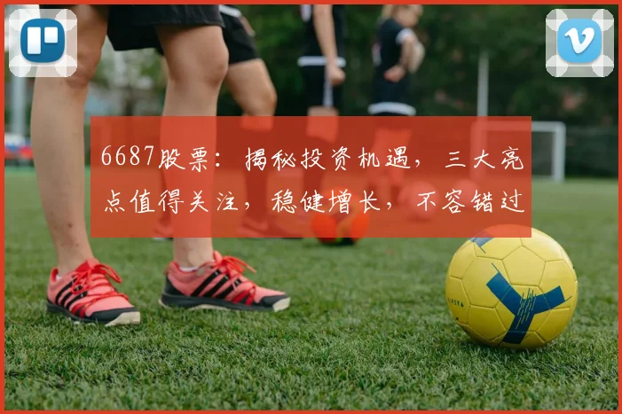 6687股票：揭秘投资机遇，三大亮点值得关注，稳健增长，不容错过